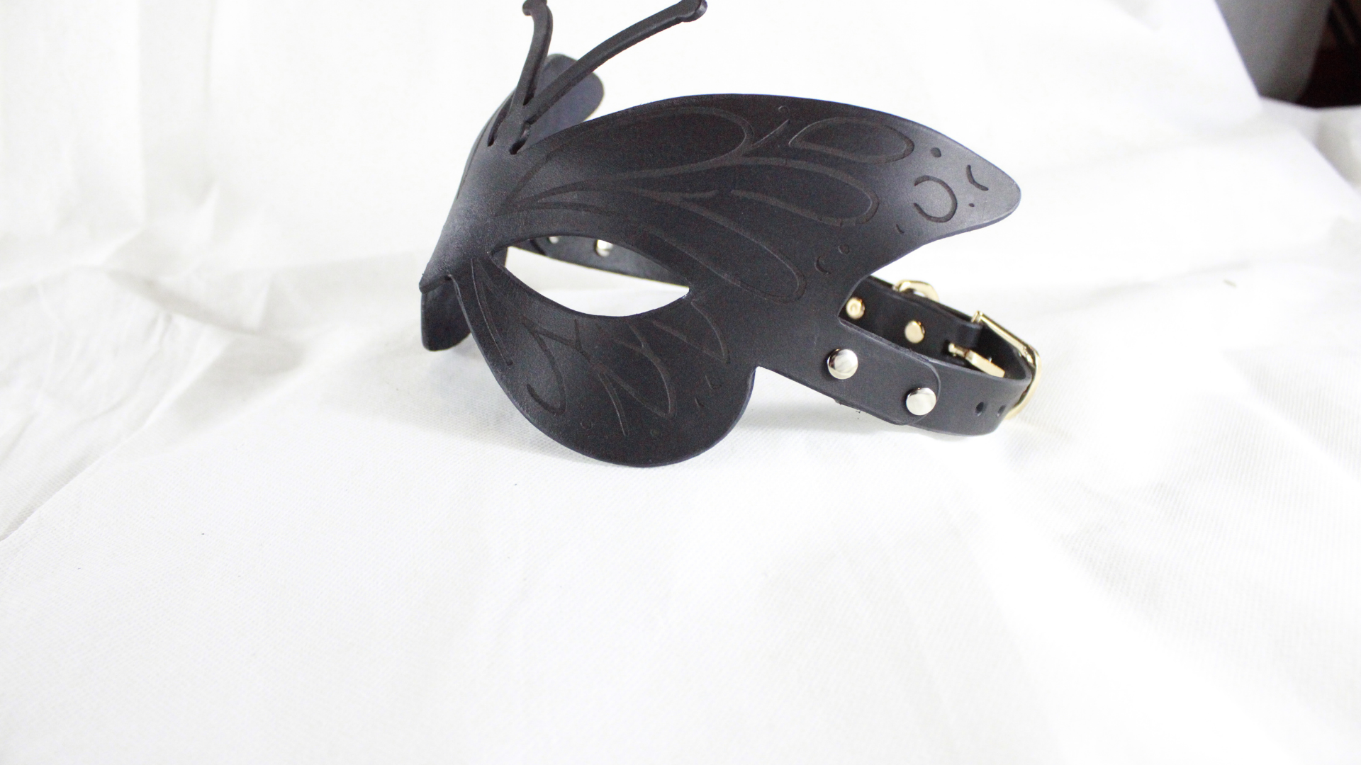 Butterfly  Bdsm Mask Of Leather Transformation Power And Nocturnal Identity